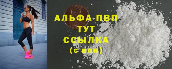 a pvp Белокуриха
